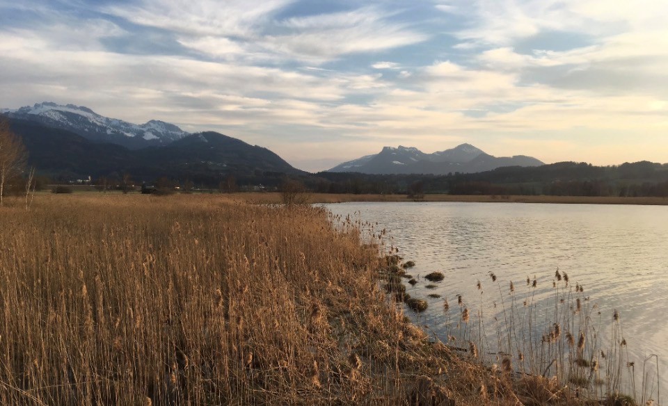 Chiemsee
